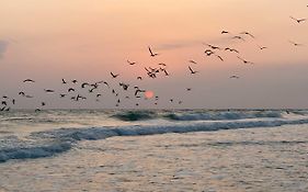 Bright Coastal Condo Walk To Lido Key Beach!